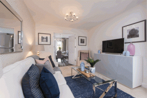 Town & Country - The Sycamore, Birch Meadow 2
